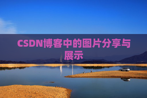 CSDN博客中的图片分享与展示